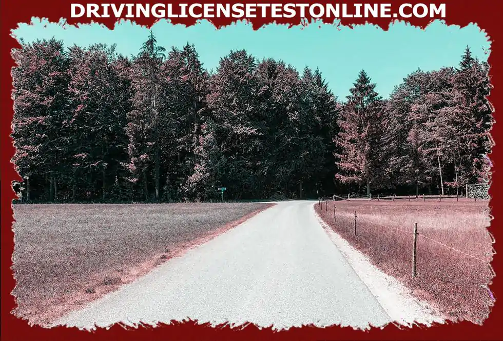 Овде се возите на свом мотоциклу . Који проблеми могу настати током вожње кроз овај шумски пролаз ?