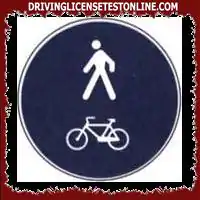 The sign shown is placed in correspondence with an itinerary reserved only for the transit of pedestrians and cyclists