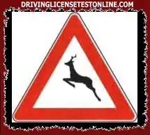 The signal depicted requires you to slow down to avoid collisions with wandering wild animals