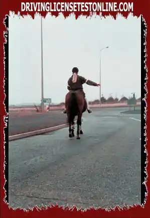 You see a horse rider as you approach a roundabout. What should you do if it points to the...