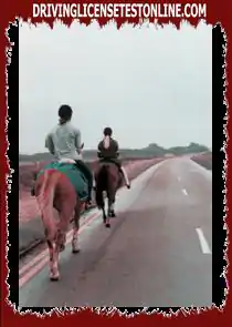 Bạn đang lái xe trên một con đường riêng lẻ . Bạn nên làm gì khi nhìn thấy những người cưỡi ngựa phía trước ?