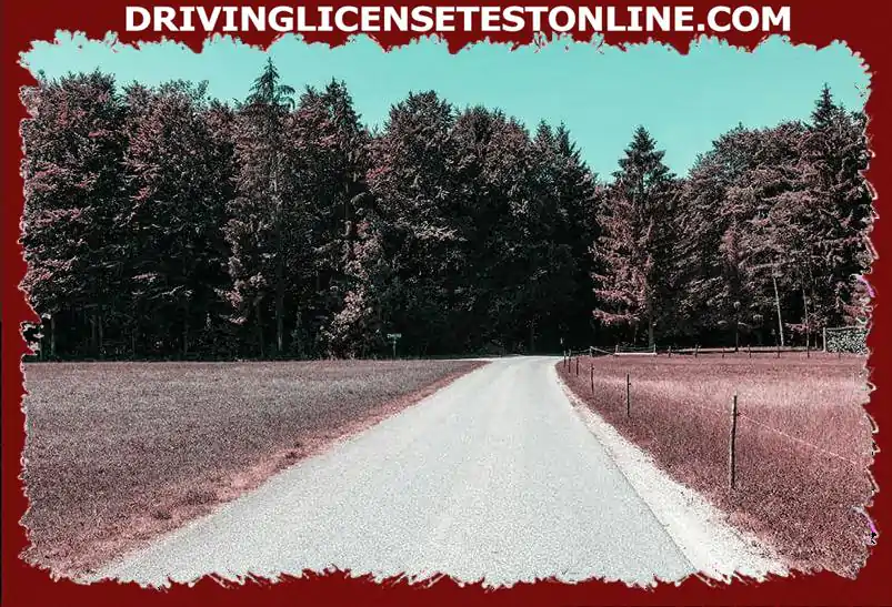 Estás conduciendo tu motocicleta aquí . ¿Cómo te comportas cuando conduces por el bosque ?