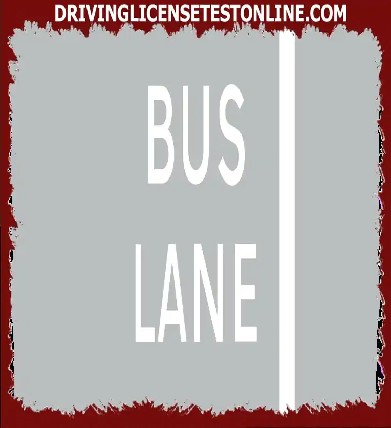 There is a bus lane on your left. Signs do not show opening times. What does this mean ?