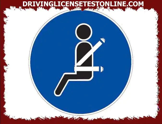 Your light quadricycle is equipped with seat belts for the driver and passenger . Which occupants should use them ?