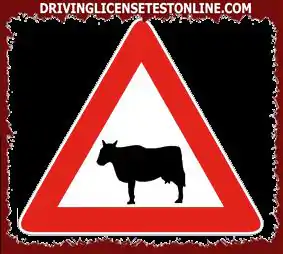 Signalisation routière : | Le panneau indiqué indique la possibilité de trouver des animaux errants sur la route
