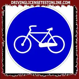 The sign shown | is placed in correspondence with a route that can only be traveled by bicycles