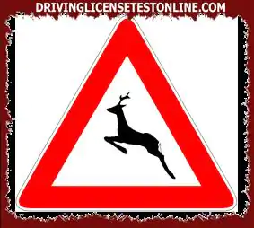 Пътни знаци: | Показаният знак предвещава възможността за внезапно намиране на странстващи животни на пътното платно