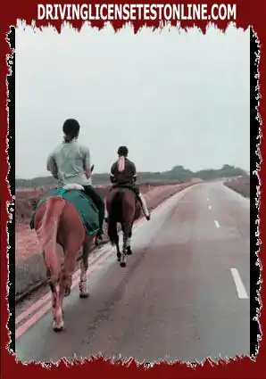 You are driving on a single lane road. What should you do when you see horse riders in front of you ?
